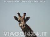 VIAGGI 4X4 IN NAMIBIA