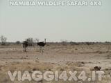 VIAGGI 4X4 IN NAMIBIA