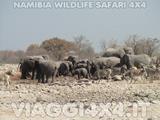 VIAGGI 4X4 IN NAMIBIA