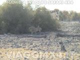 VIAGGI 4X4 IN NAMIBIA