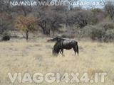 VIAGGI 4X4 IN NAMIBIA