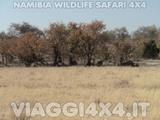 VIAGGI 4X4 IN NAMIBIA