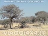 VIAGGI 4X4 IN NAMIBIA