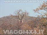 VIAGGI 4X4 IN NAMIBIA