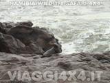 VIAGGI 4X4 IN NAMIBIA